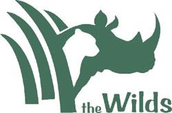 The Wilds